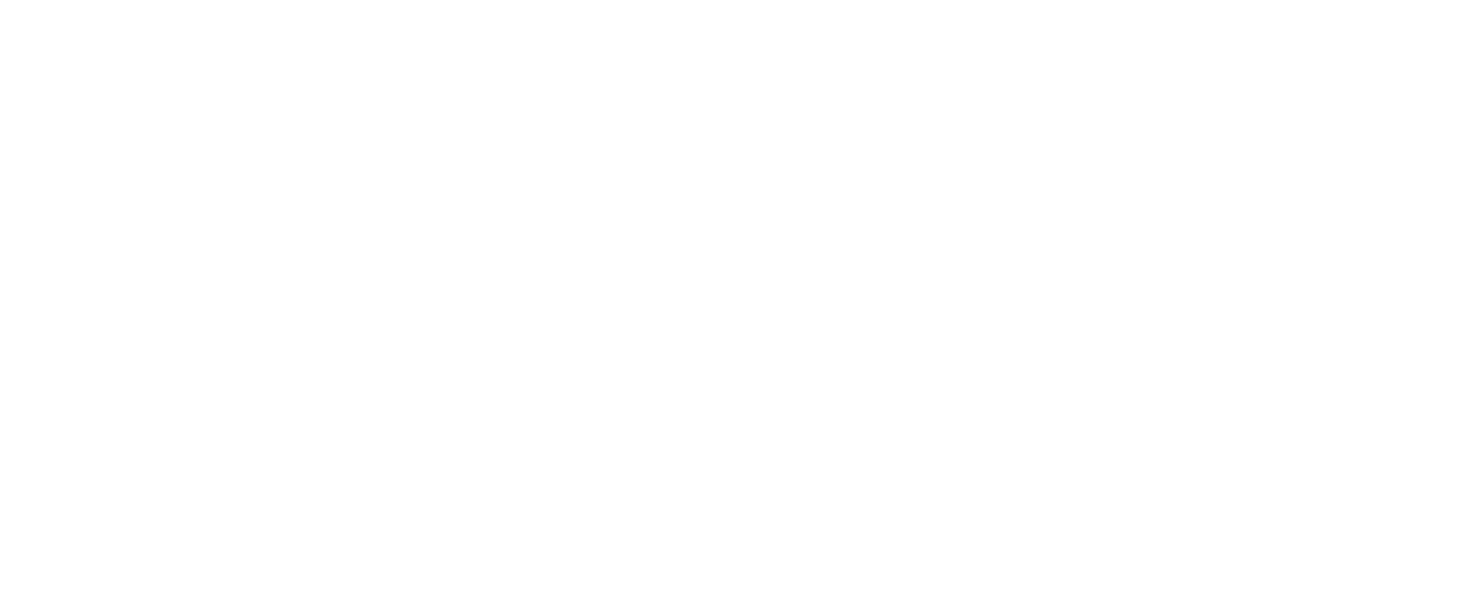 IMC Logo