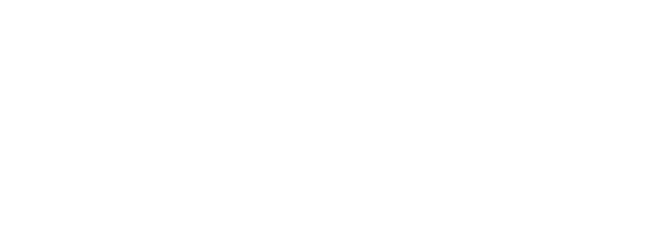 IMC Logo
